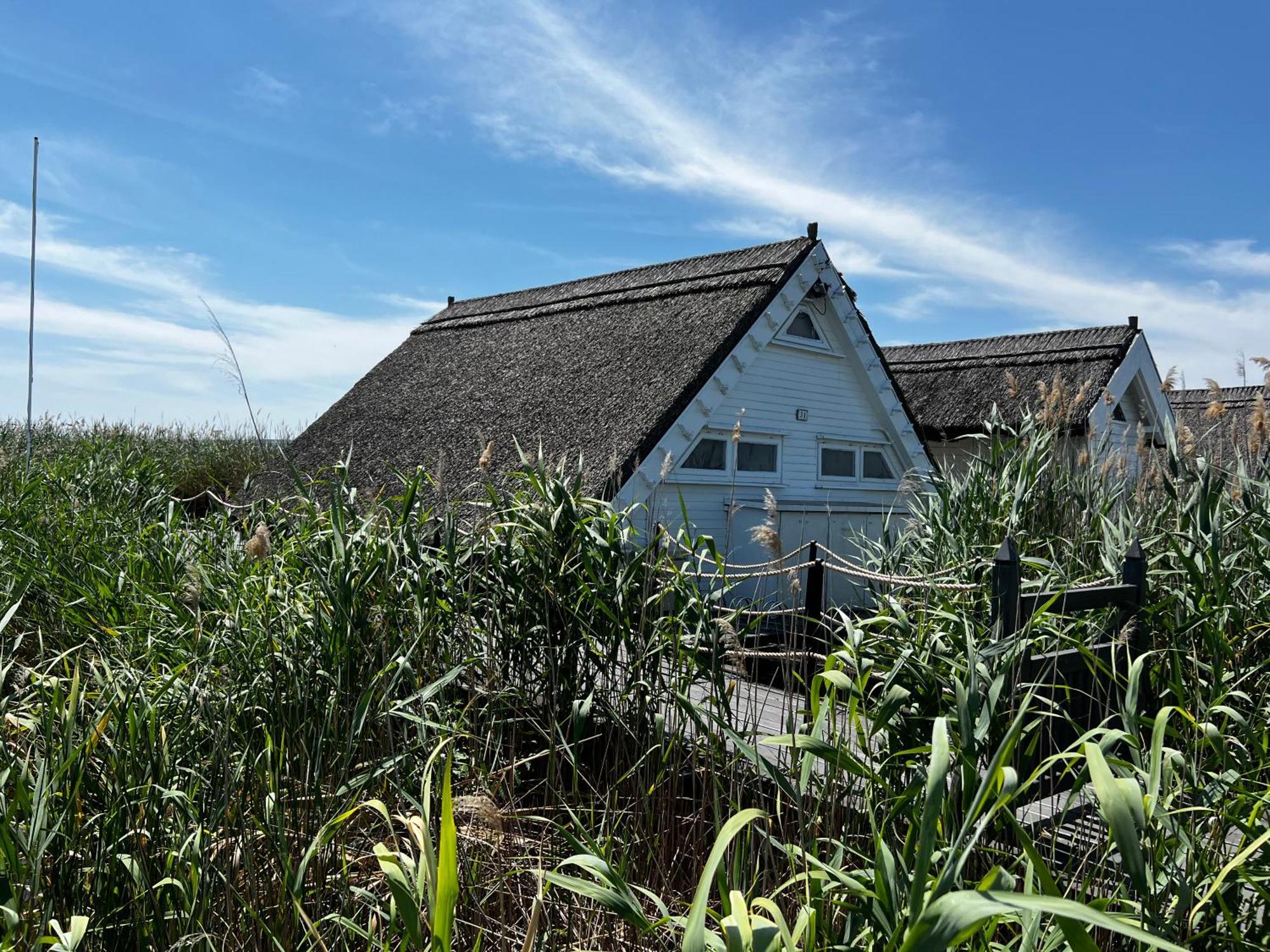 Seehuette Neusiedlersee - Seehaus Inklusive Elektroboot Rust Luaran gambar
